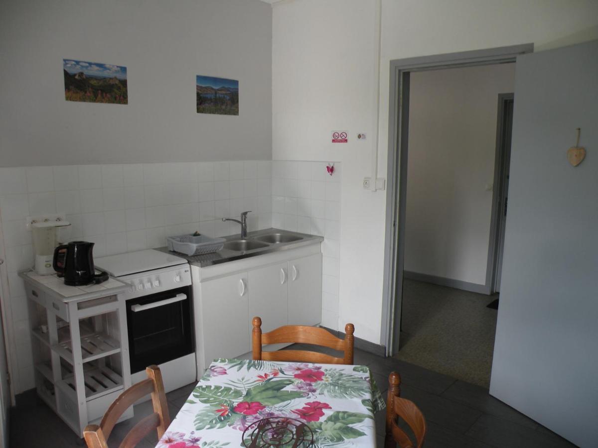 Rose, 4 Pers. Villa Saint Antoine, Orcival, Sancy Εξωτερικό φωτογραφία